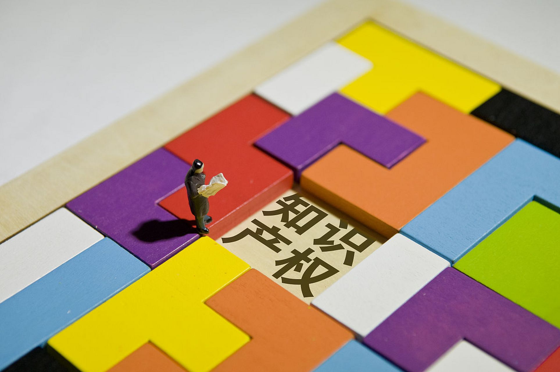 知识产权 (31).jpg