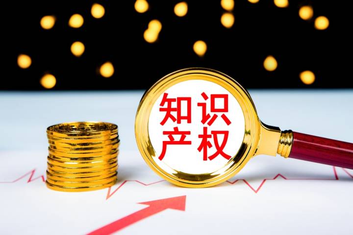 知识产权 (20).jpg